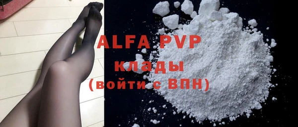 стаф Арсеньев