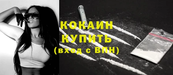 стаф Арсеньев