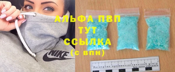 стаф Арсеньев