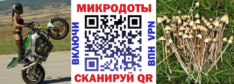 мега ссылка Можайск Псилоцибиновые грибы Psilocybe что такое наркотик